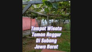 Tempat Wisata Taman Anggur Di Kota Subang Jawa Barat