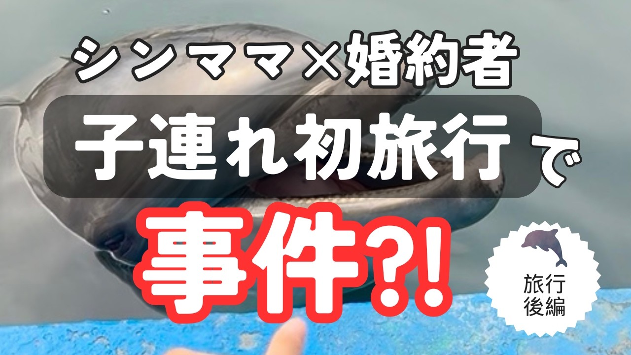 【真っ暗...】Airbnbで事件が...！！→翌日はイルカ島満喫｜家族旅行後編