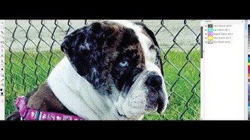 CMYK separations in Corel