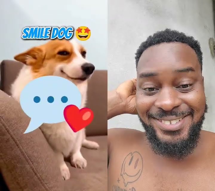 if you love cat and dogs wacht this #viral #trending #pets #dog #cat