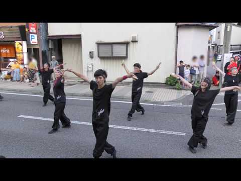 「 烏舞 」ろっけん通りおどりん祭 2017【旭会場】