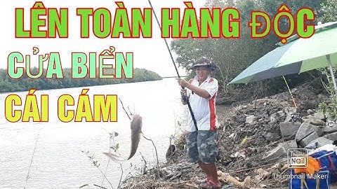 CÂU CÁ CỬA BIỂN/ CÂU CÁ NGÁT/ CÁ VỒ BIỂN LẠI VÔ MÁNH NỮA ỜI @giangngofising