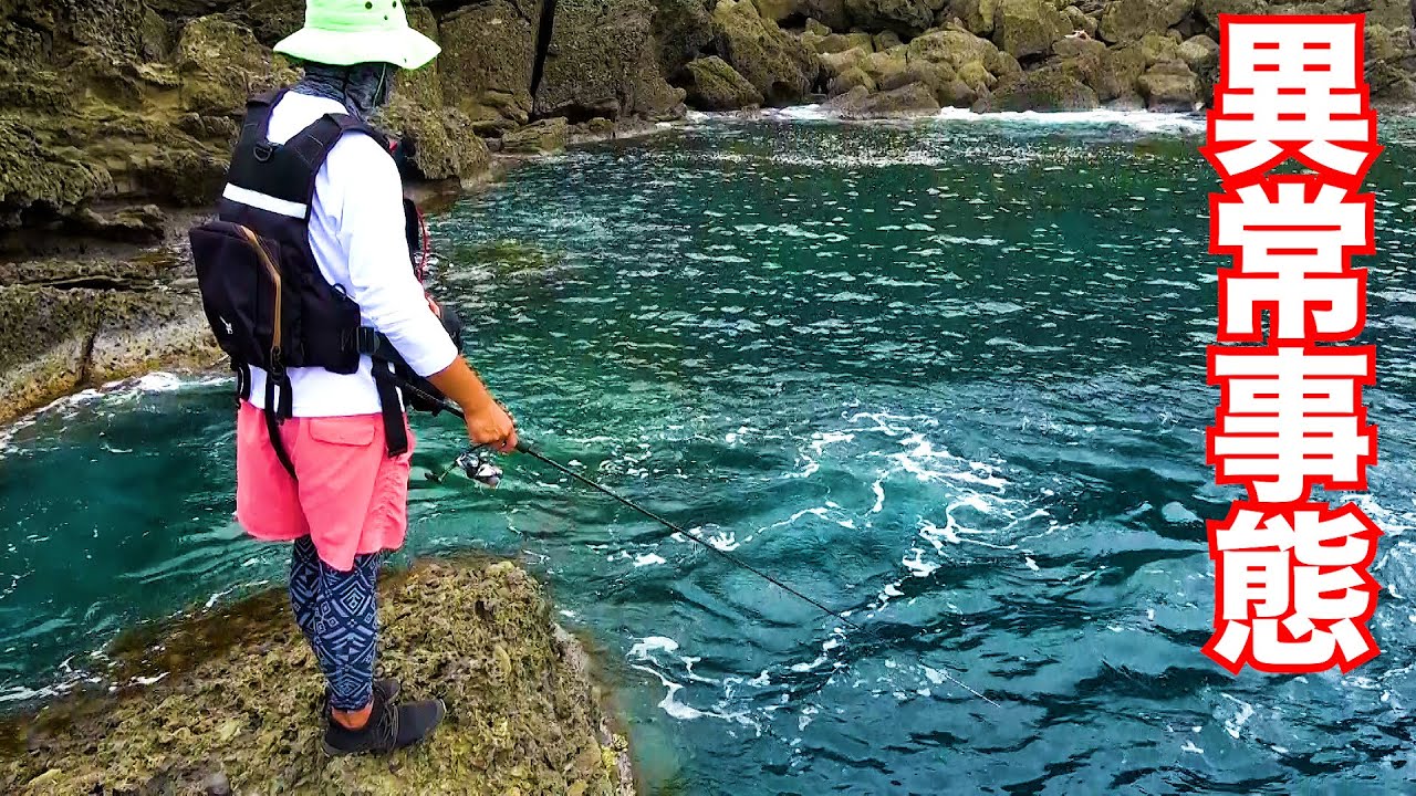 台風直前の異常事態!?イカが無限に釣れてしまぁぁぁう!!!!!!【能登半島釣り旅】♯４