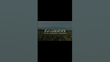 اكتب شئ تؤجر عليه 🤎🍁 #quran #قرآن #قران_كريم #تلاوة_خاشعة #عبدالرحمن_مسعد #راحة_نفسية