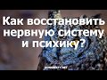 Как восстановить нервную систему и психику?