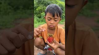 Survival Skills: SMART idea and USEFUL in Forest #bushcraft #camping #outdoors #survival