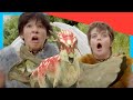 😱 Caveman Attacks! But T-Rex Fights Back! 🌋 Dino for Kids @Smart_Kids_Youtube