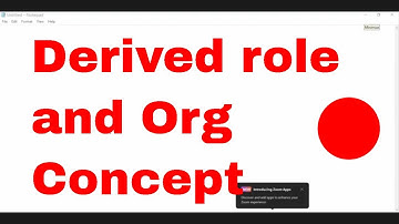 Derived Role and Org Concept in SAP Security ECC