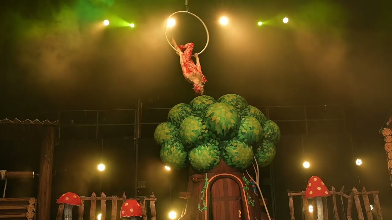 Aerial hoop. A firebird