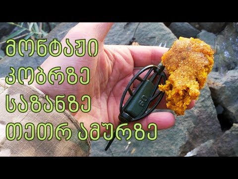 მონტაჟი კობრზე საზანზე ამურზე