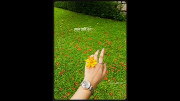 Thumbnail of Never forget you.