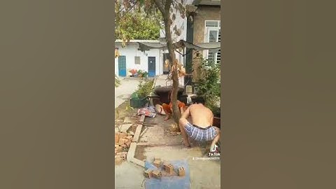 Ba Hải và bà cố nội cưa cây mít