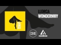 Llorca  wonderwhy with samuel lancine official audio