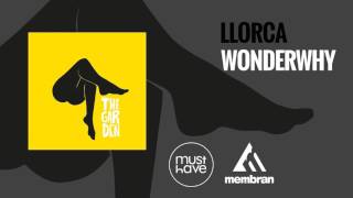 Video voorbeeld van "Llorca - Wonderwhy (with Samuel Lancine) (Official Audio)"