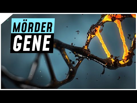 Video: Wissenschaftler Haben Gene Für 