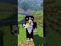 Free hostomi offer! on cereshost.eu ✅ #minecraft #hosting #hostomi