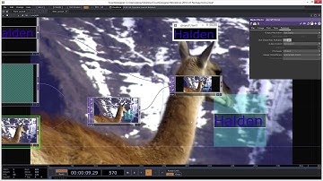 Norway Workshop | Introduction to TOPs - More Common TOPs | Part 1 of 2
