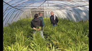 10 02 2026 E elsendo de Pola RetRadio