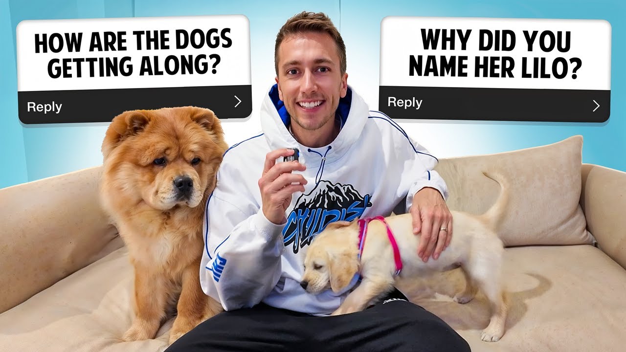 Q&A WITH MY DOGS!