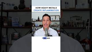 How Heavy Metals Create Inflammation How Heavy Metals Create Inflammation