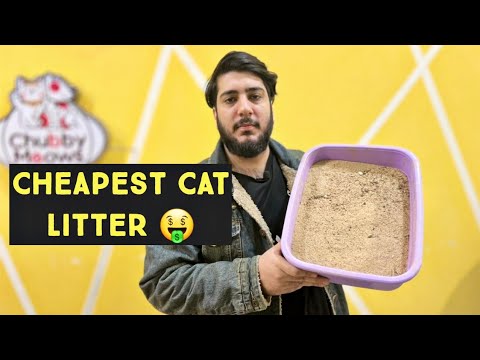 Very Economical Cat Litter | Wooden Pallet Cat Litter | Best & Cheap Cat