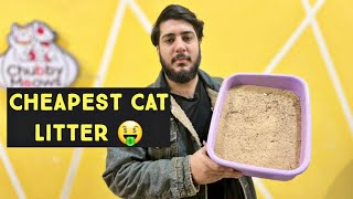 Very Economical Cat Litter | Wooden Pallet Cat Litter | Best & Cheap Cat Litter