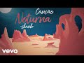 Ref:4CobluyZ2P4 Skank - can��o noturna (lyric video)