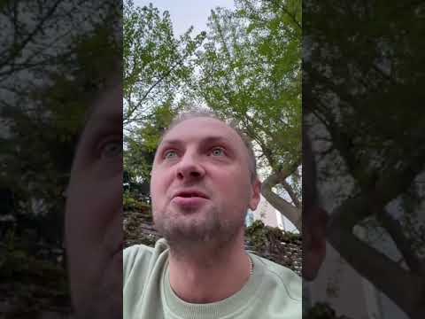 Зубарев 37 лет, иногда это страшно 🤣#shorts #юмор #shortvideo #прикол#смех #приколы #смешныевидео