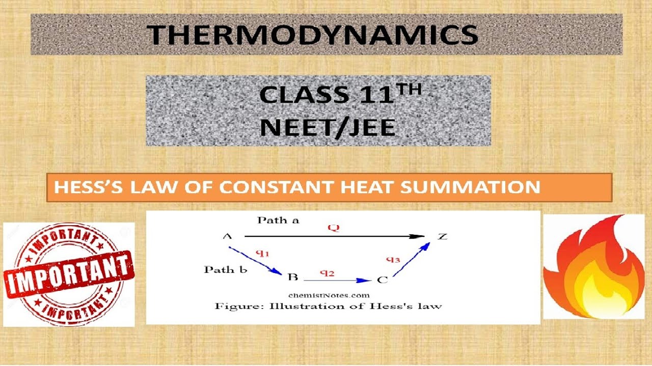 What is Thermodynamics | Chemistry Class 11 | Hess's law | Neet | Jee