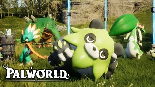 【#縦型配信】パルパルパルパルパルパル【パルワールド】