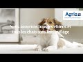 Agria assure tous les chiens sans limite dge 