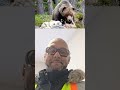 #bearfamily#bearfacts#brazilian #uruguay#paris#china#tanzania #omannews#backcountry#uaelife#duet