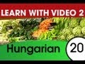 Learn Hungarian Vocabulary with Pictures and Video - Dont Shop in Hungarian Without These Words