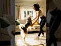 This simple toy trick stopped my dog from being lazy #dogexercise #petlife #shorts