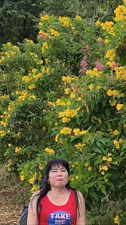 Daily life 🥰🥰🥰