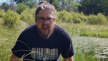 Kiss the Frog - The Under_Score (Official Video)