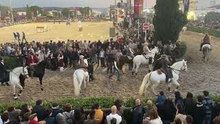 Feira do Cavalo Golega 2025