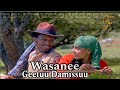 Geetuu Damissuu Wosanee New Ethiopian Oromo Music 2026 