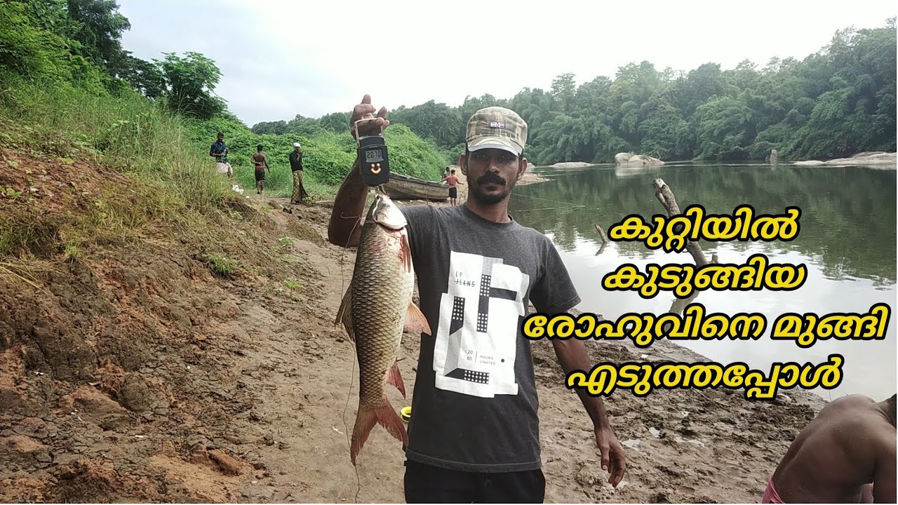 കുറ്റിയിൽ കുടുങ്ങിയ രോഹുവിനെ മുങ്ങി എടുത്തപ്പോൾVillage river fishing