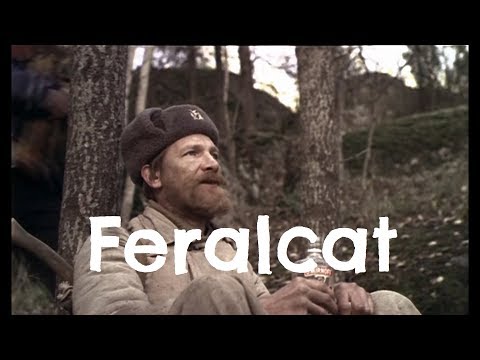 Видео: Feralcat – Черный ворон Кузьмич (feat. к/ф 