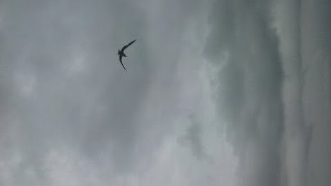 Attempt to play Chrono Trigger live