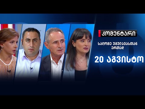 კომენტარი: ქაოსი ოპოზიციაში? - 20 აგვისტო