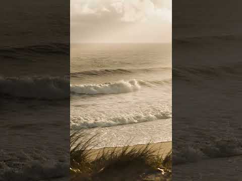 Inside The Huntington Beach Helicopter Disaster