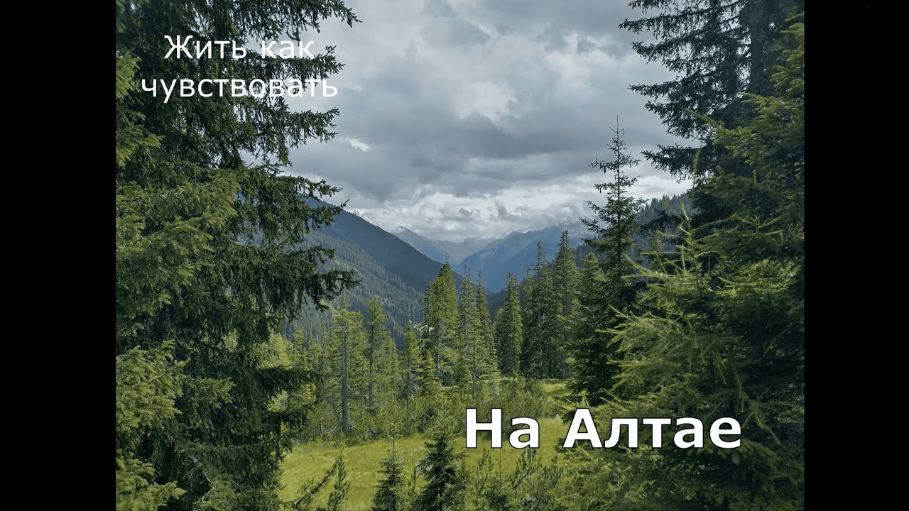 Жить как чувствовать. На Алтае