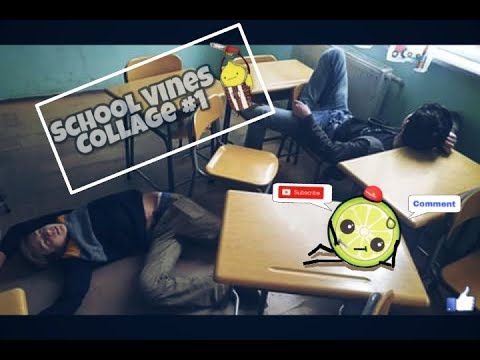 School Vines | სქულ ვაინები //LemonTube\\\\