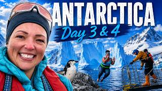 Antarctica Day 3 & 4: Lemaire Channel, Polar Plunge, Wildlife