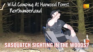 SASQUATCH/BIGFOOT CAUGHT ON CAMERA? | Harwood Forest solo wild camping | The Woodsman whisky review