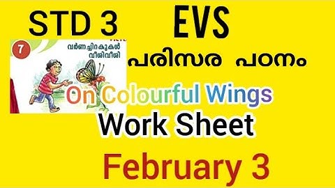 #std3evs #class3evs KITE VISTERS STD 3 Environmental studies work sheet February 3,