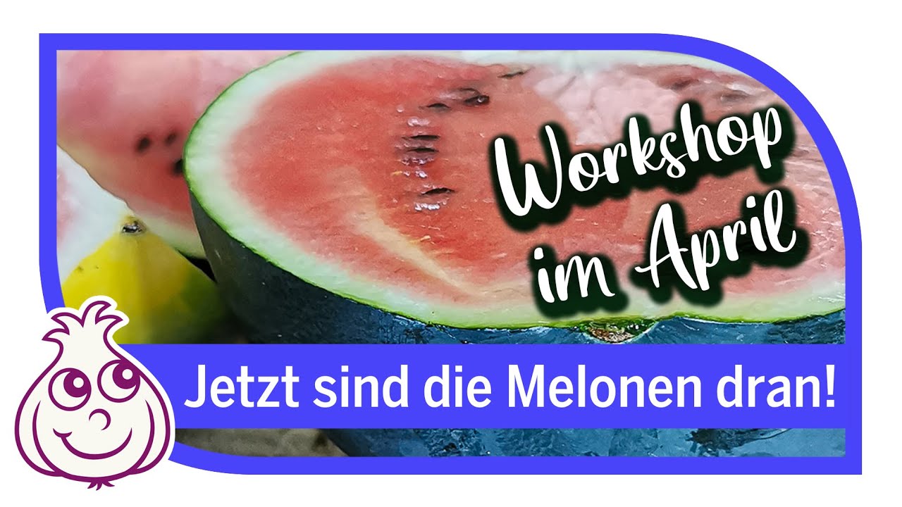 Aussaaten im April  Wassermelone & Kartoffeln  Workshop 14