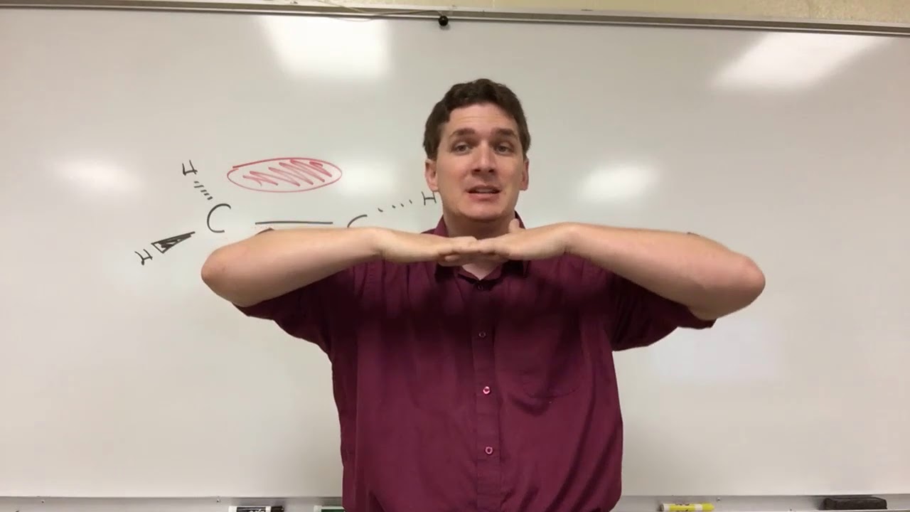 Bond Rotation in Alkenes